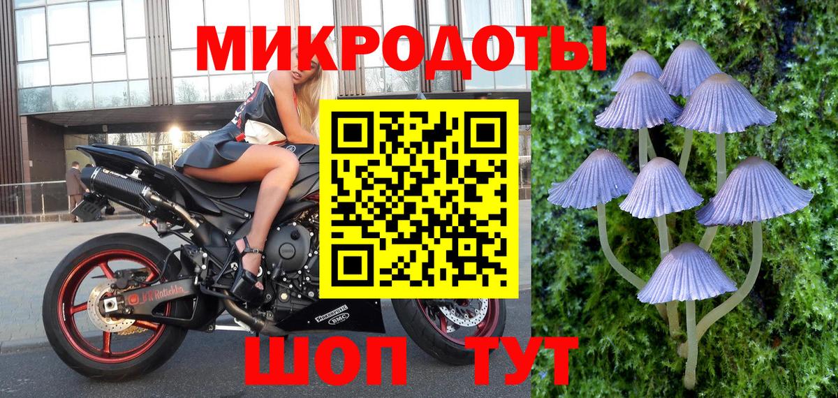 Новоуральск  Псилоцибиновые грибы Psilocybine cubensis  даркнет сайт  Вход с VPN 